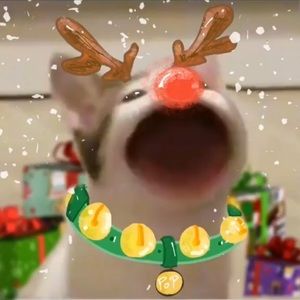 Meet your Posher, Layla